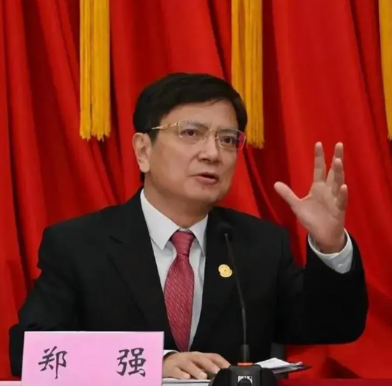 郑强说：“评个教授，先看发了多少篇英文论文，中文的不算数？难道咱中国的学问，就得