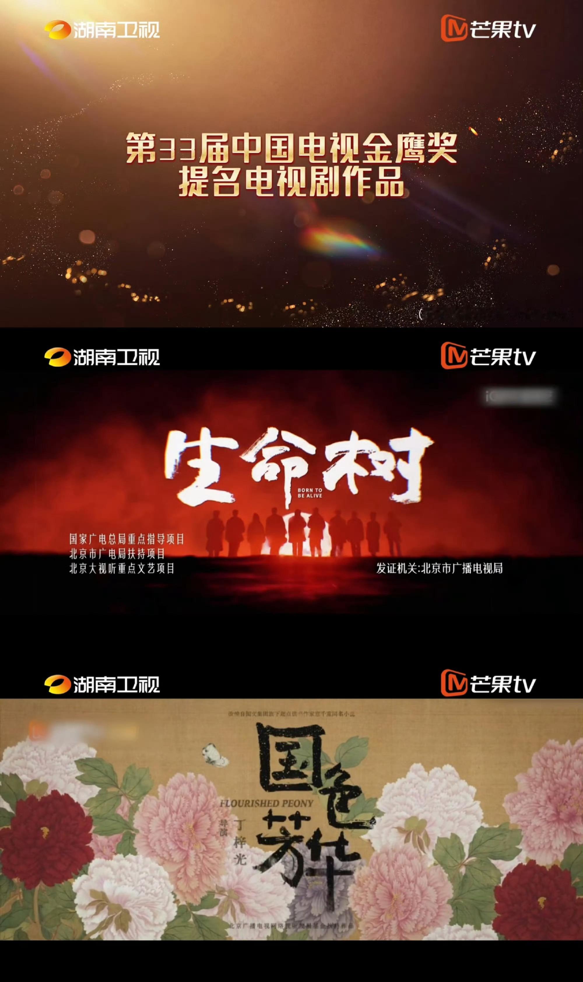 杨紫金鹰奖只提名了3个90后演员第33届金鹰奖完整表演类提名公布后，全网热议本届