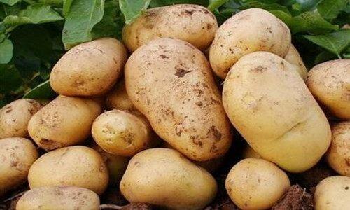 你买的蔬菜真的安全卫生么? 这些买菜方法可能连老妈都不知道