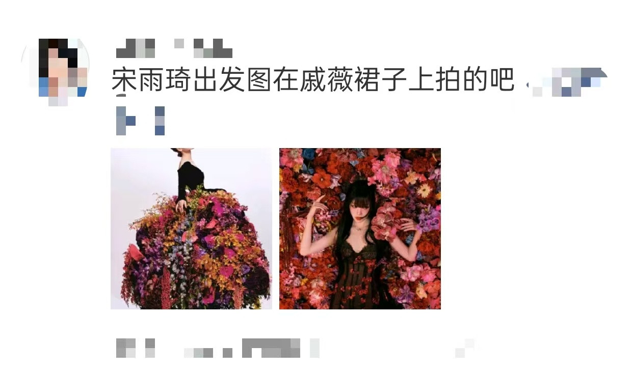  宋雨琦出发图在戚薇裙子上拍的吧宋雨琦戚薇的“花联动”太会了！戚薇穿满花裙子，雨