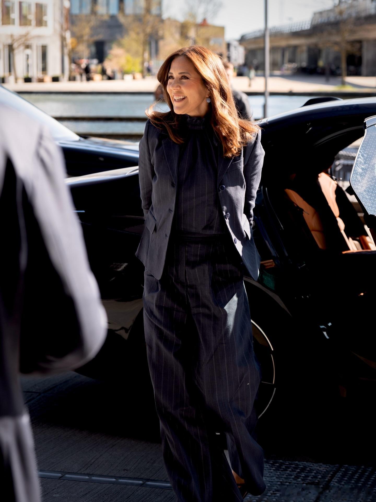 新闻2026.4.23丹麦王后玛丽与玛丽王后中心顾问委员会举行会议，商议该中