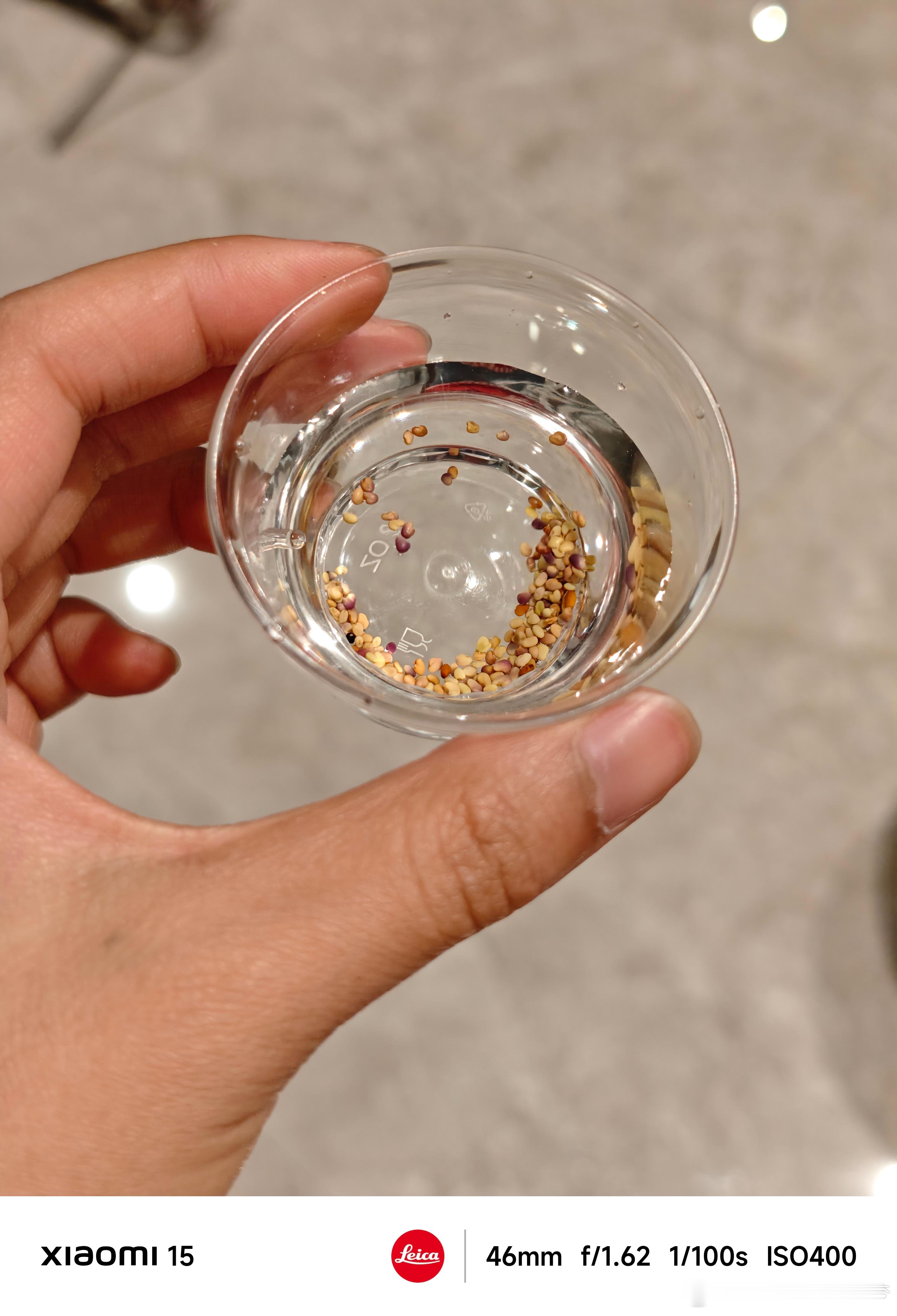 不知道大家有没有玩过这个小东西，就是泡泡种子丢进土罐里就能长出祝福花，具体花的品