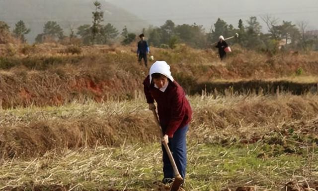 1985年，老山战役胜利，傅全有因指挥出色，被火线提拔为成都军区司令员。捷报传回