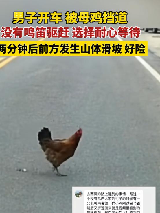 这下科学也解释不清了！近日西藏，男子驾车路过西藏自治区芒康县，行驶中发现前方有一