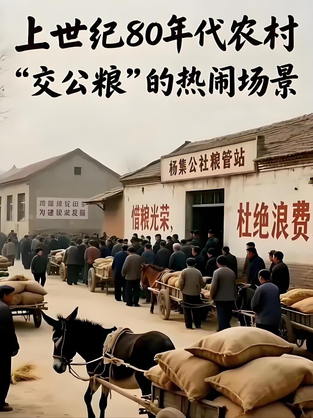 农民交公粮算不算交社保。农民交公粮算不算交社保这个问题真的得一分为二看，首先交