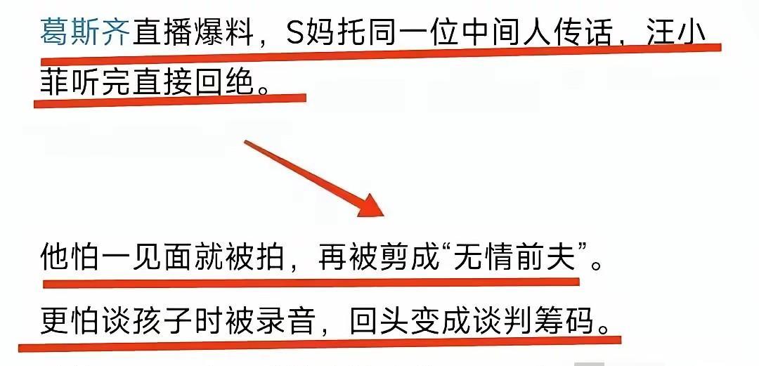 老话说：当局者迷旁观者清！一点没错啊！葛斯齐今天直播中再一次说s妈通过中间人