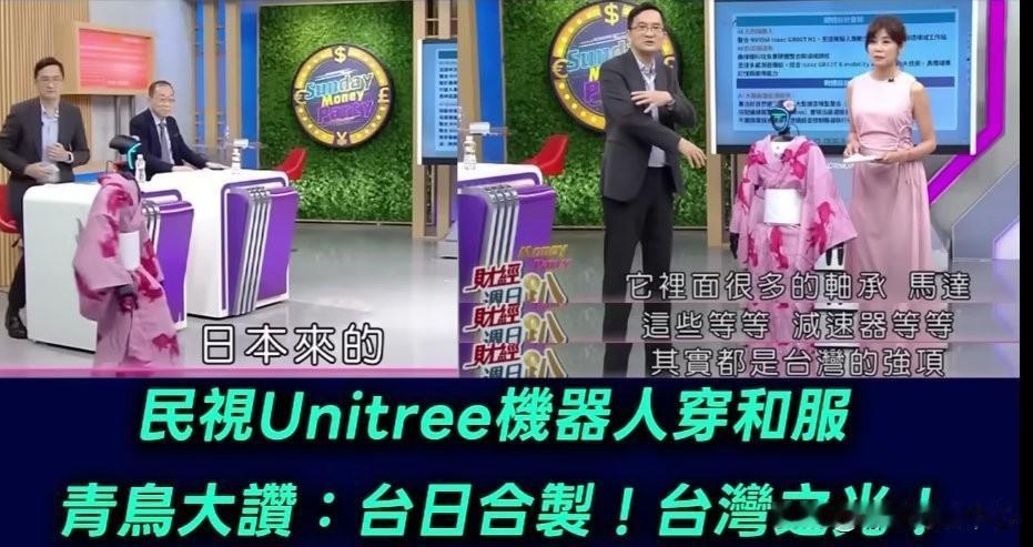台湾绿媒（台独媒体，如福尔摩沙电视台）在Unitree的央视机器人功夫表演后