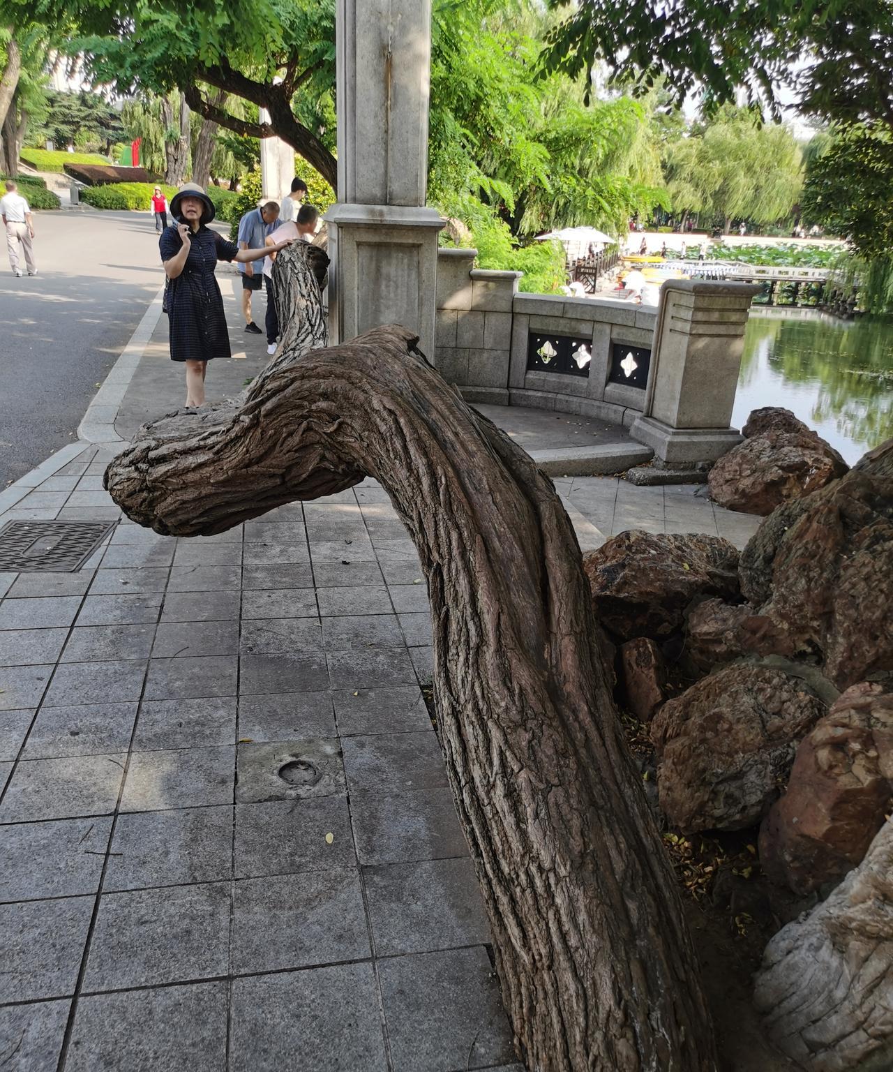 生活真不容易，尽孝已成精神枷锁。现在有不少老人不愿到敬老院，在家指望儿女养老。在