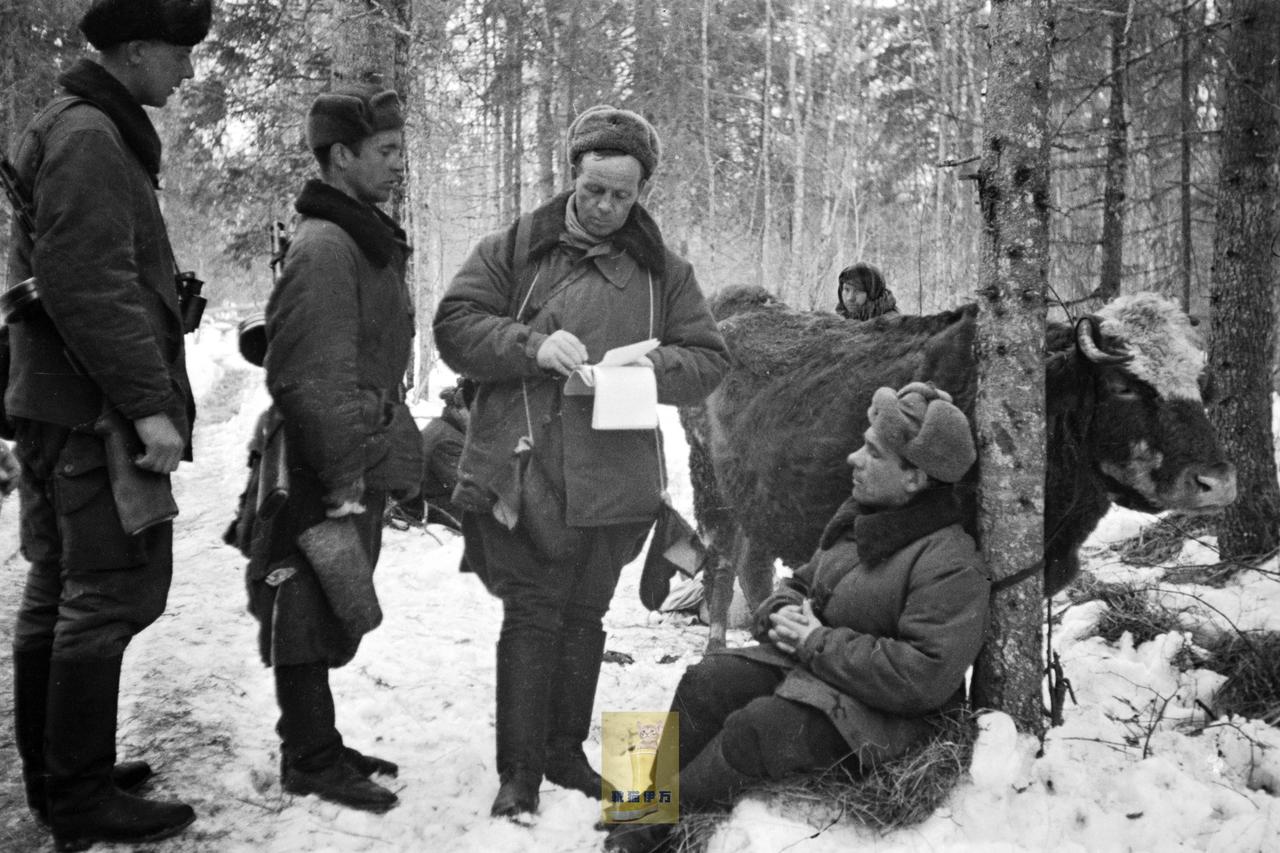 猛一看还以为是放牛的民兵呢，原来是空降兵——1942年，第4空降军某部指挥官亚历