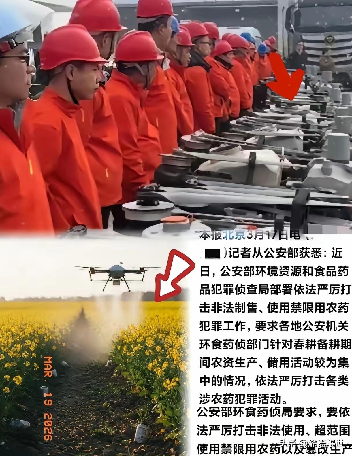 这次严查真是大快人心！有些人穿着红工服，操控无人机，专挑油菜花盛开的时候乱喷农药