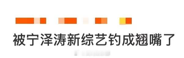被宁泽涛新综艺钓成翘嘴了被宁泽涛新综艺《菜鸟与大鱼》钓成翘嘴了！从泳池飞鱼秒变
