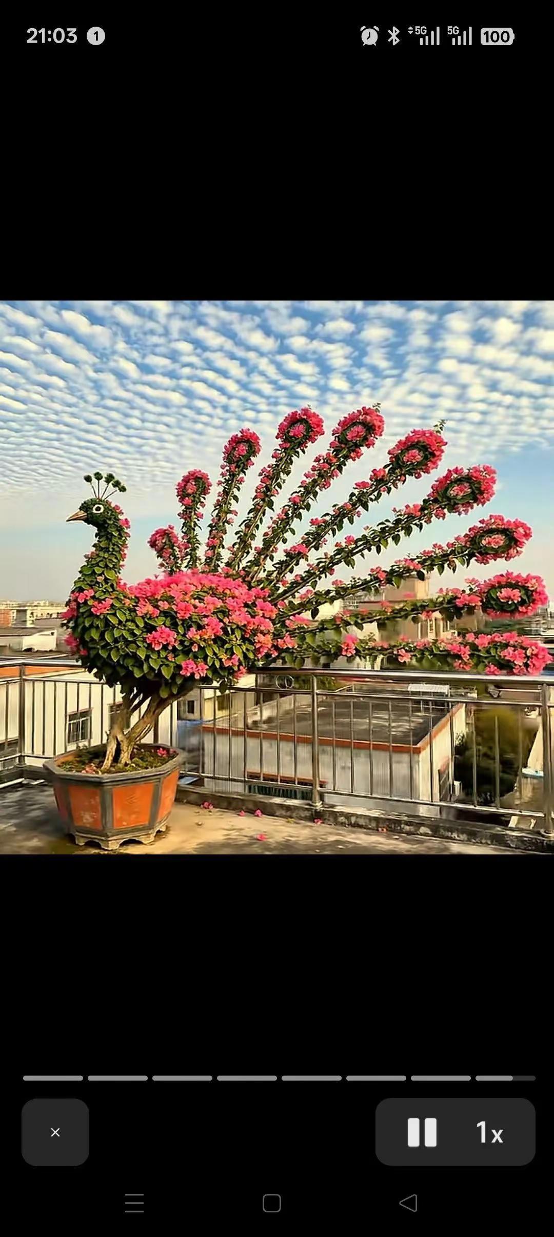 人一到老了好可怜。昨天在楼下碰到一个陌生阿姨，年纪应该是60来岁，打扮得干干净净