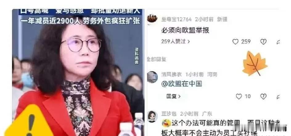 他们赌的是，应届生没力气闹到欧洲去。结果学生真把材料递了。宝马、奔驰，大众，一家
