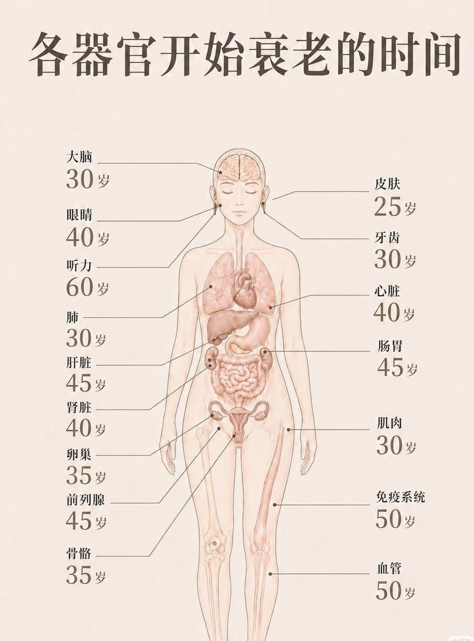 为什么人老的那么早？年轻只有那么几年啊[捂脸哭]