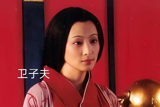 《汉武大帝》里只记得刘彻，卫青，霍去病，李广，以及为打匈奴准备的各种各样的训练，