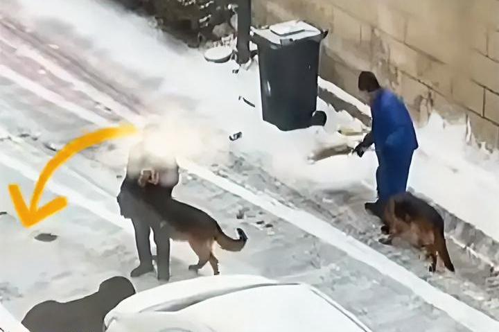 家养五六只大狗，出门从来不拴绳，看你能霸气几天。黑龙江一网友有位好“邻居”，养