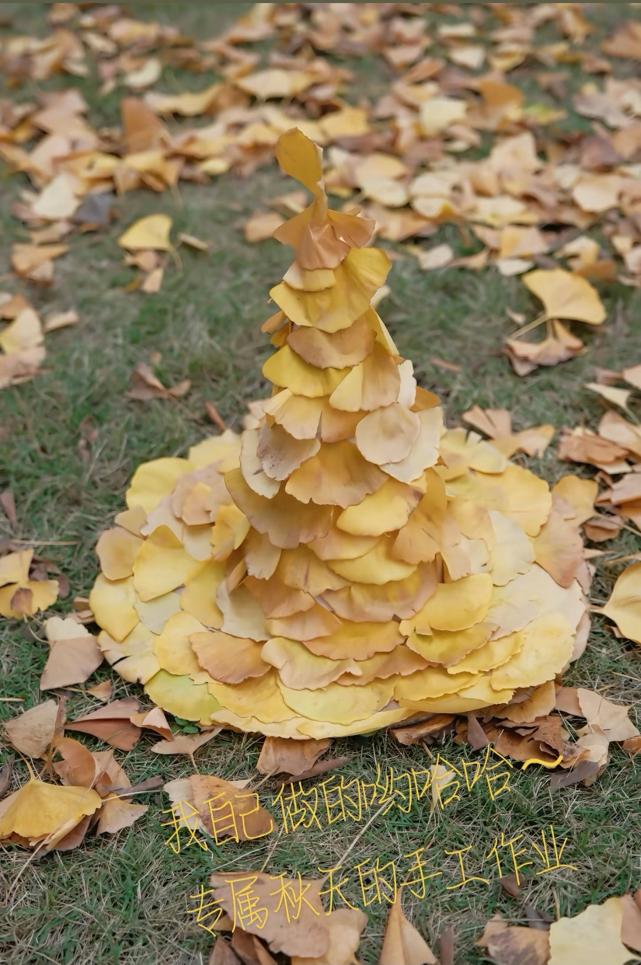 广东连黄色的叶子都没，好想像OO同款魔法帽子！