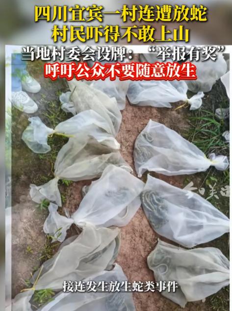 太吓人了！6月9日报道，四川宜宾一个村子，居然有人为了庆生，直接往山里倒了十几袋