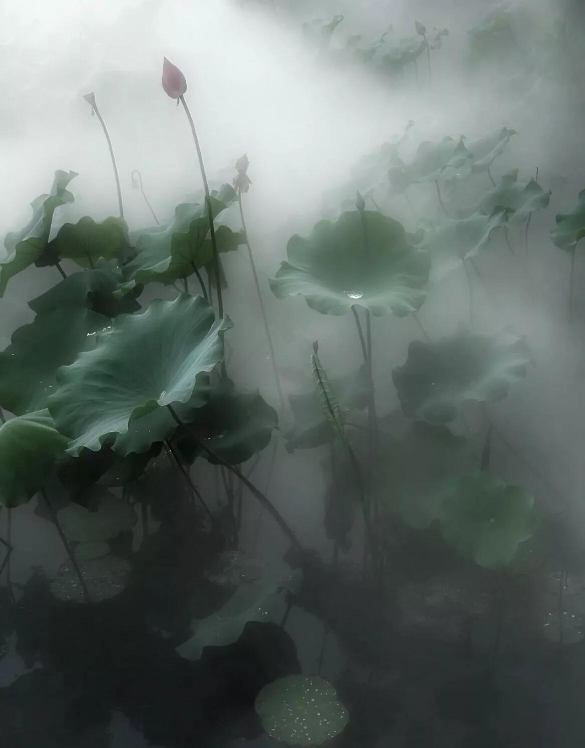 江南又梦烟雨​​​