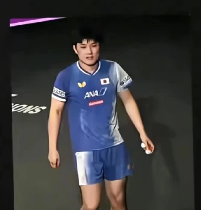 瑞典大满贯的张本智和彻底哑声了。不知道大家注意没有，在瑞典大满贯的张本智和这