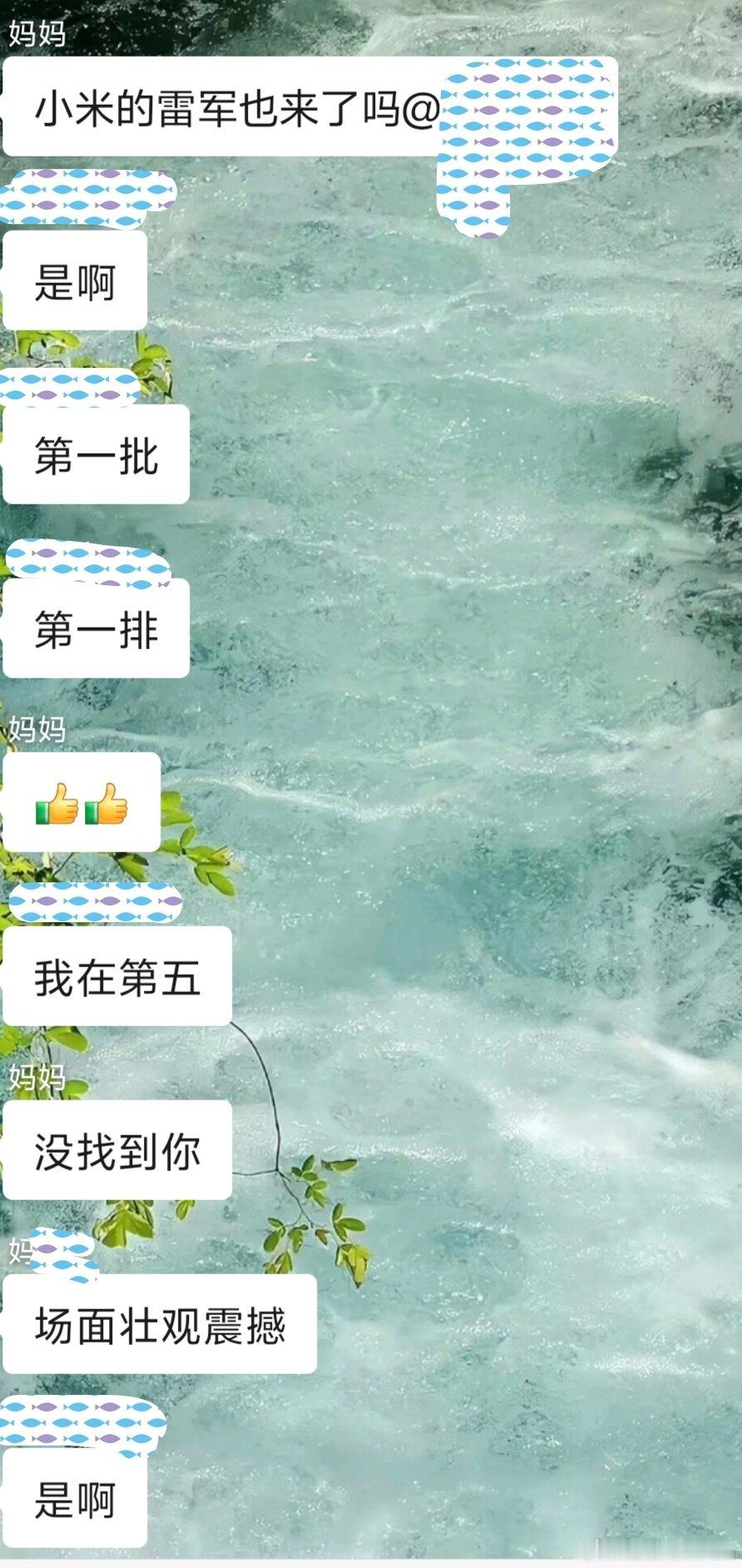 我妈看雷军，我看马🐝[微笑][微笑][微笑]，何意味...​
