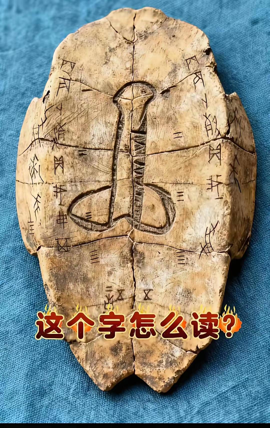 中国的文字博大精深。中国最早的文字甲骨文。其中很多文字是象形文字。让人一目了然于