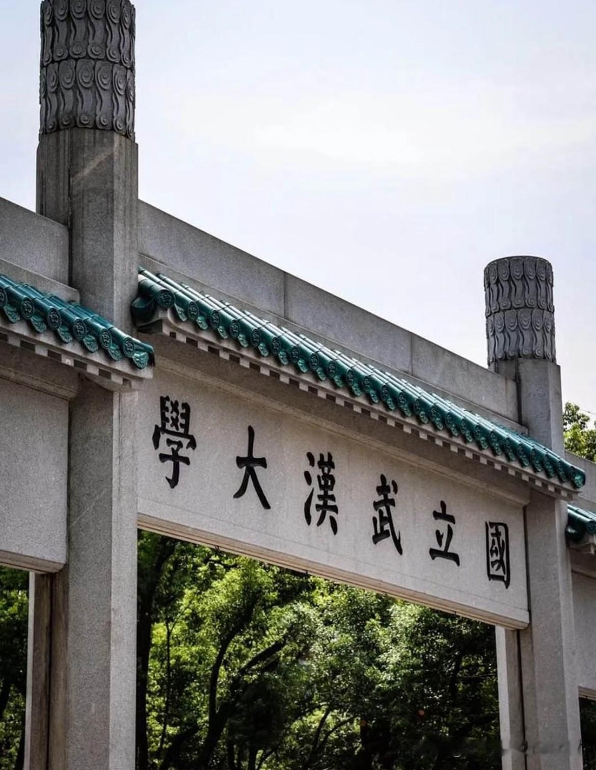 ‼️‼️没想到居然被雷军的一句话“雷”到了！想过雷军去武汉大学拍樱花