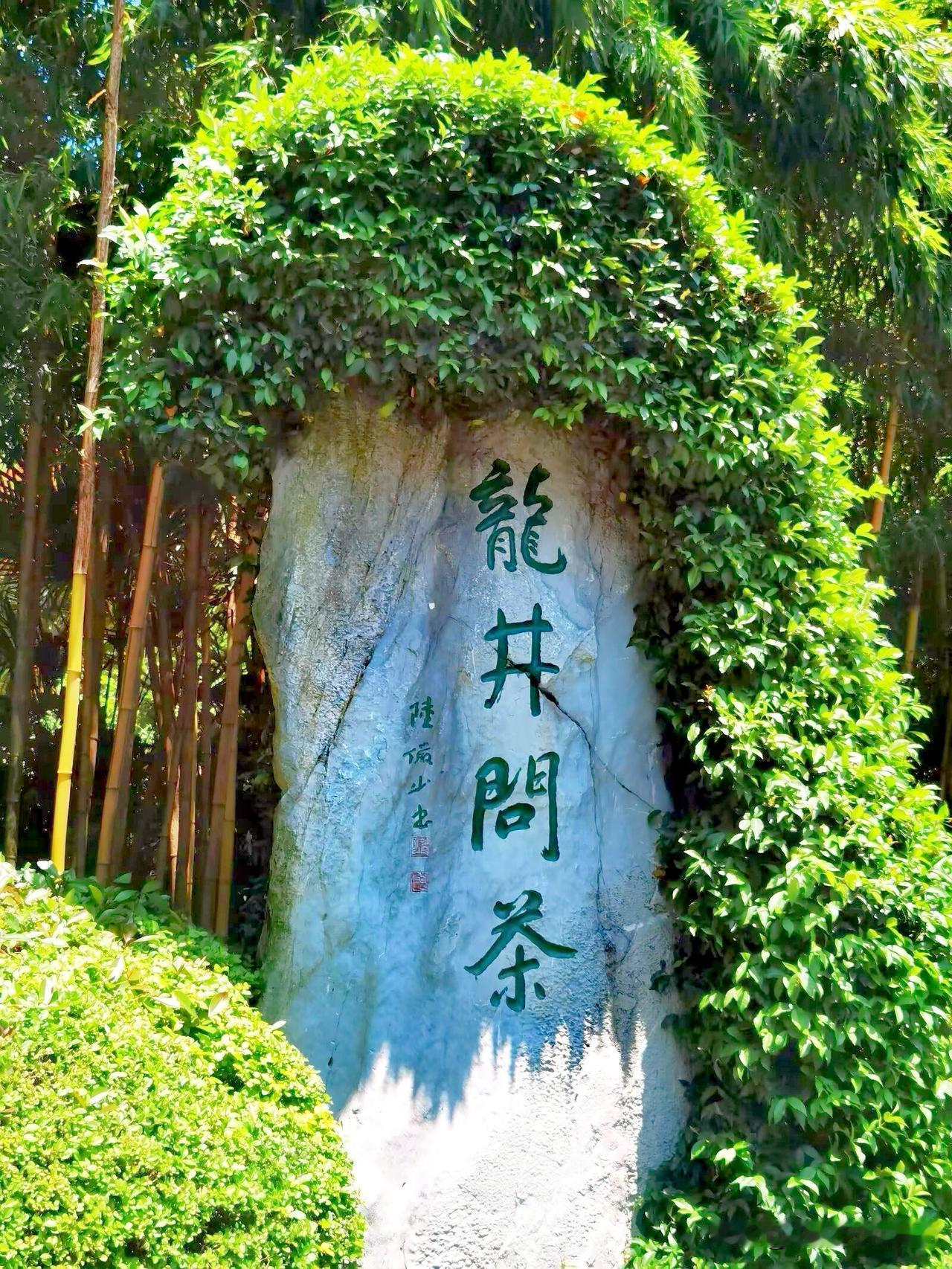 徒步杭州西湖龙井村，龙井村隶属西湖街道，拥有高山茶园近1000亩。这里出产