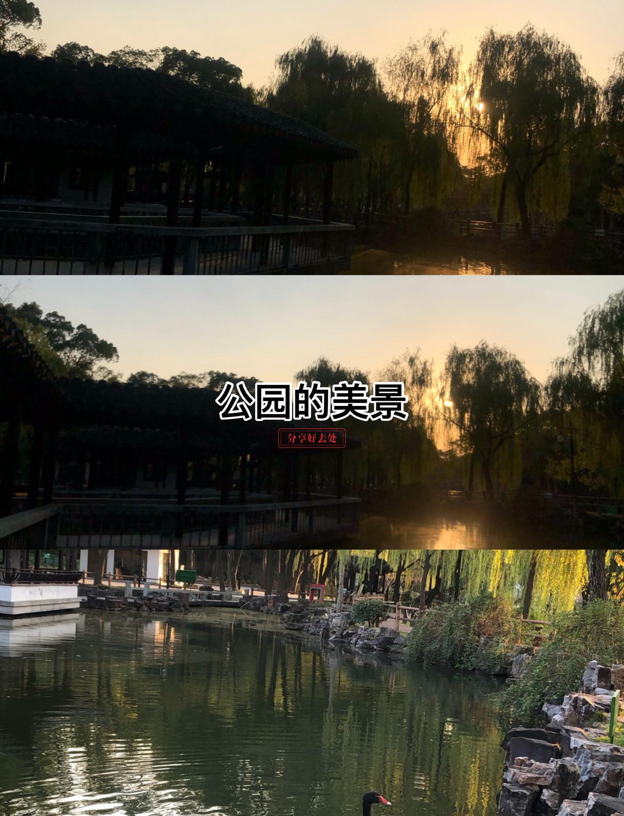 0元玩转这座城风景优美动听，令人满意起来，开心开心就好，生活就是要求开心绝美花