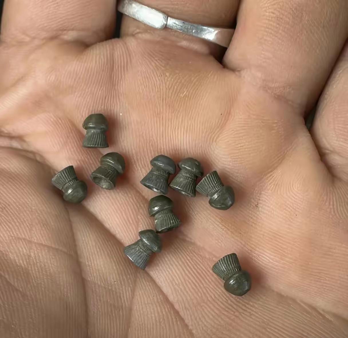 谁认识这是什么？