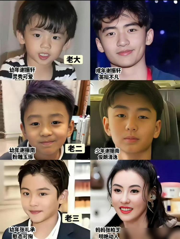 终于明白谢霆锋为什么不要孩子了，不是他不爱孩子，而是为了成全张柏芝一生的