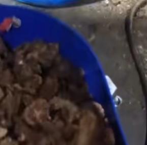 “找了好几趟，凑近了才闻见那股腐臭味！”这股令人作呕的气味，最终引导
