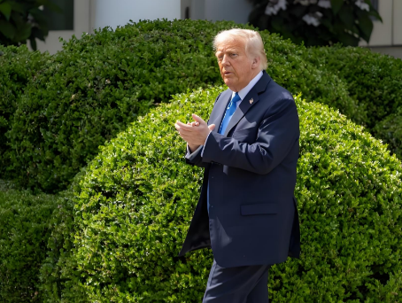 特朗普的支持率在逐渐上涨，不是因为特朗普的口号“MAGA”。虽然特朗普在美国