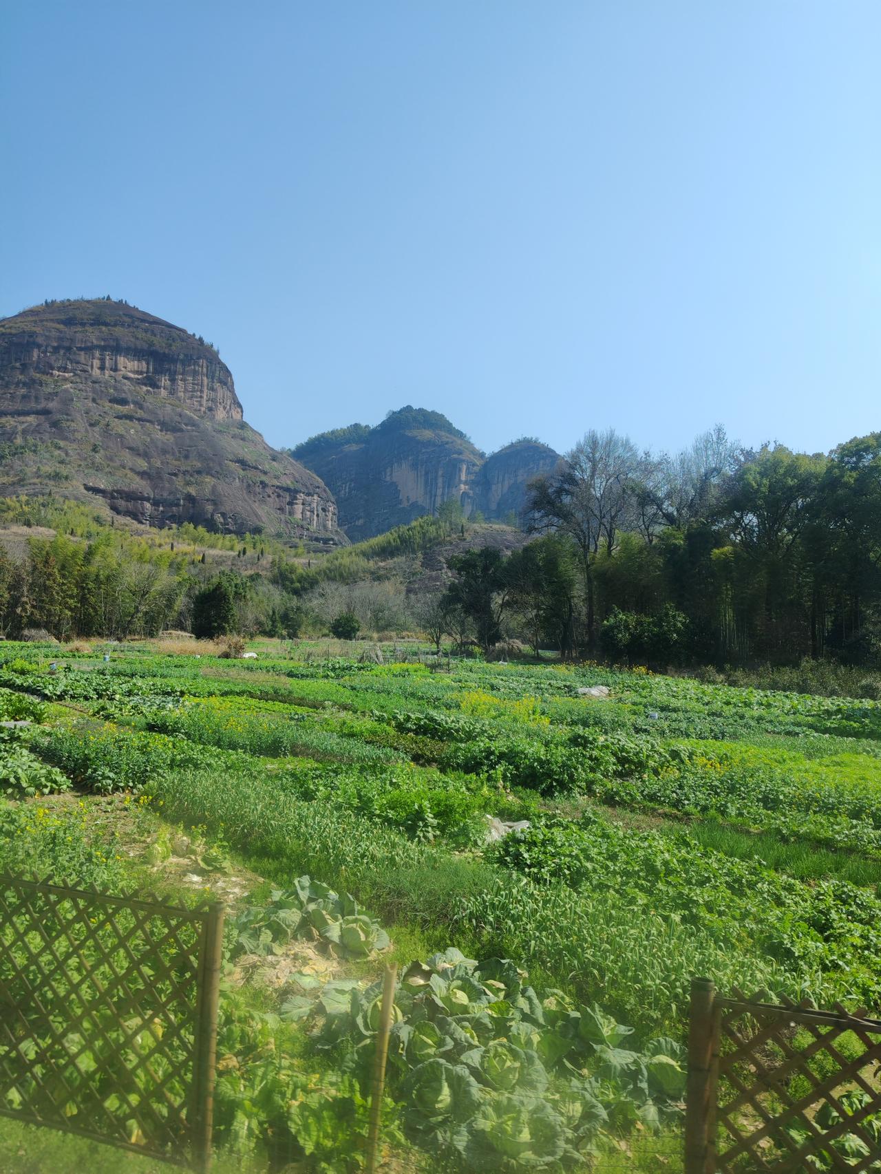 现在副校长也成了一个很鸡肋的职务，来的时候好好的，回不去了。有个朋友在县城小学