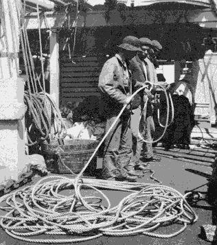 1851年，美国一艘捕鲸船，在南太平洋斩杀了一条30米长的蛇形巨兽，船长割下其头