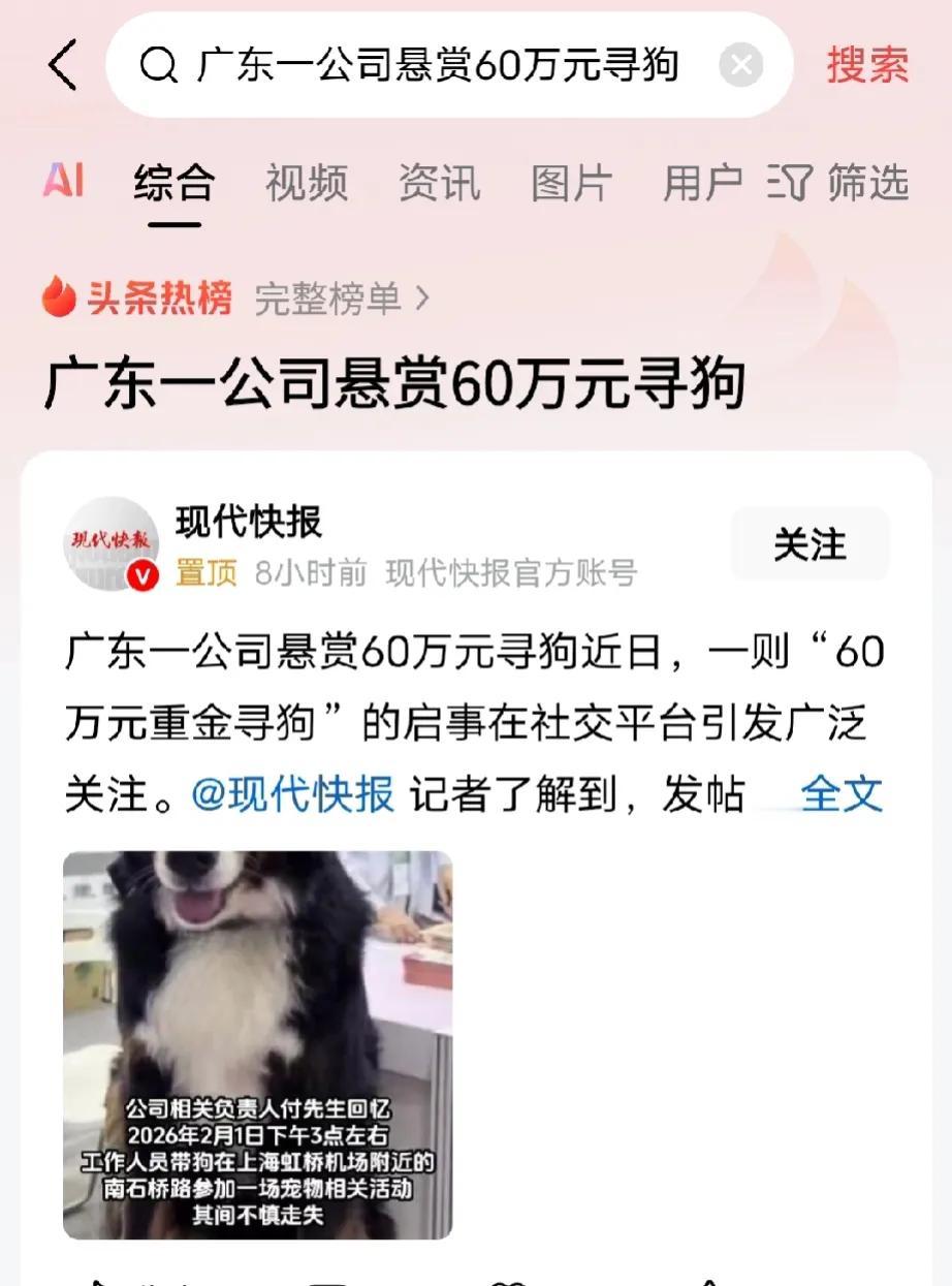 是爱狗情深，还是炫富炒作？广东惠州一家公司，为了找回一只走失的伯恩山犬“辛巴”