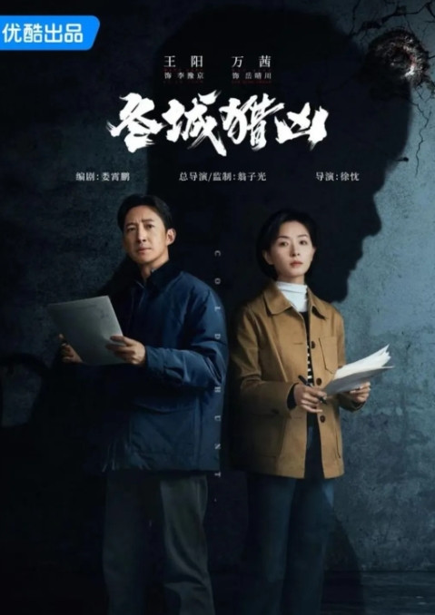 悬疑剧《冬城猎凶》双时空谜案，紧张刺激！主演：王阳、万茜、廖凡、余文乐，阵容强