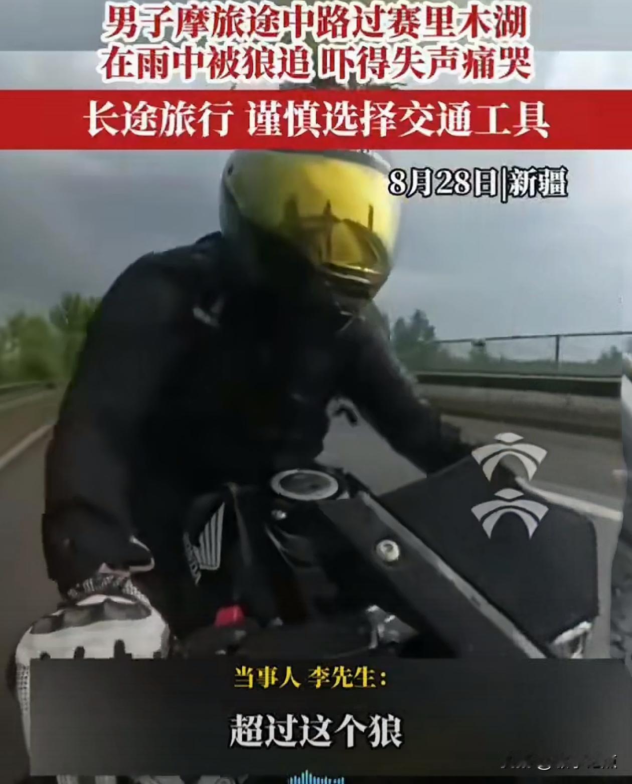 赛里木湖周边竟然有狼，8月28日，李先生骑摩托车自驾在赛里木湖周边，当时天下着雨