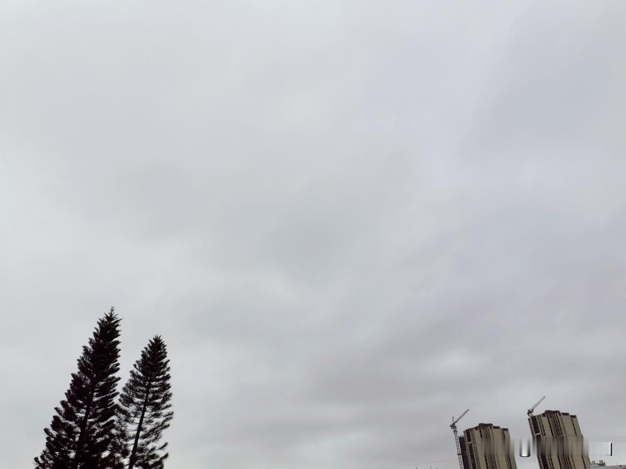 冷！冷！冷！速冻模式开启啦！冷空气夜袭广东，部分地区将有霜（冰）冻，周末迎来换季