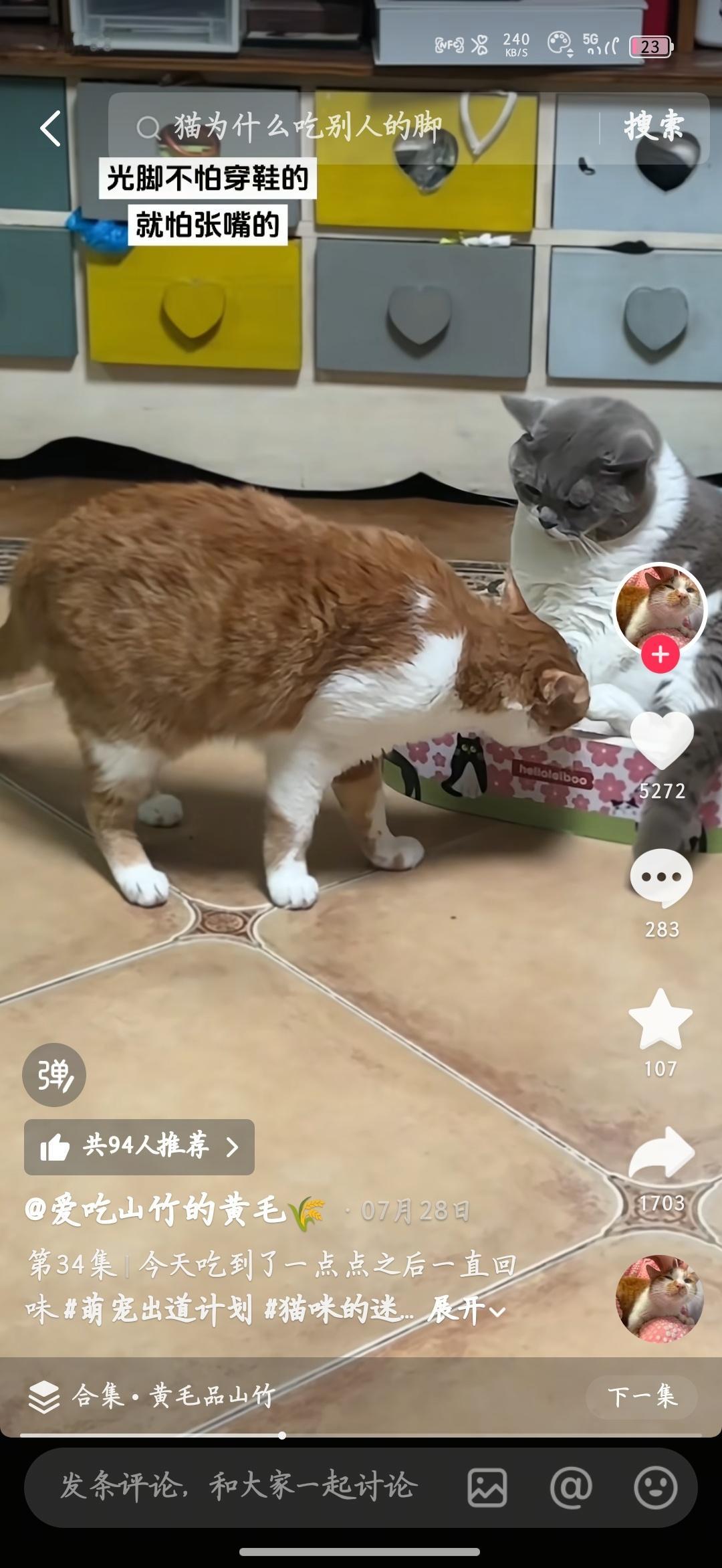 这不是我和乌兰图雅吗爱吃扔子的厚乳