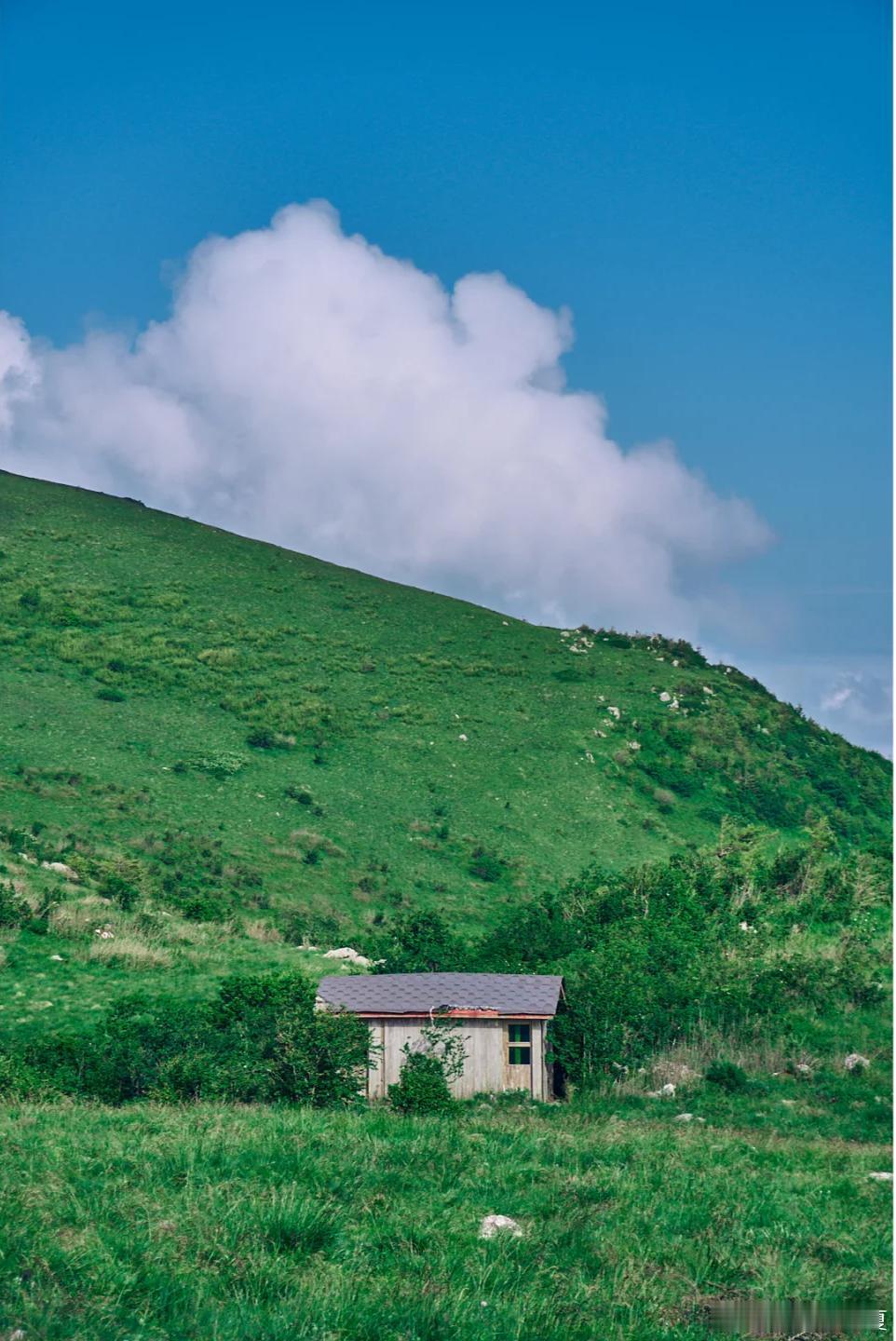 盛夏追光之旅微博旅行ing夏天还在找避暑宝地？来汉中就对了。钻进幽深山林，踏过