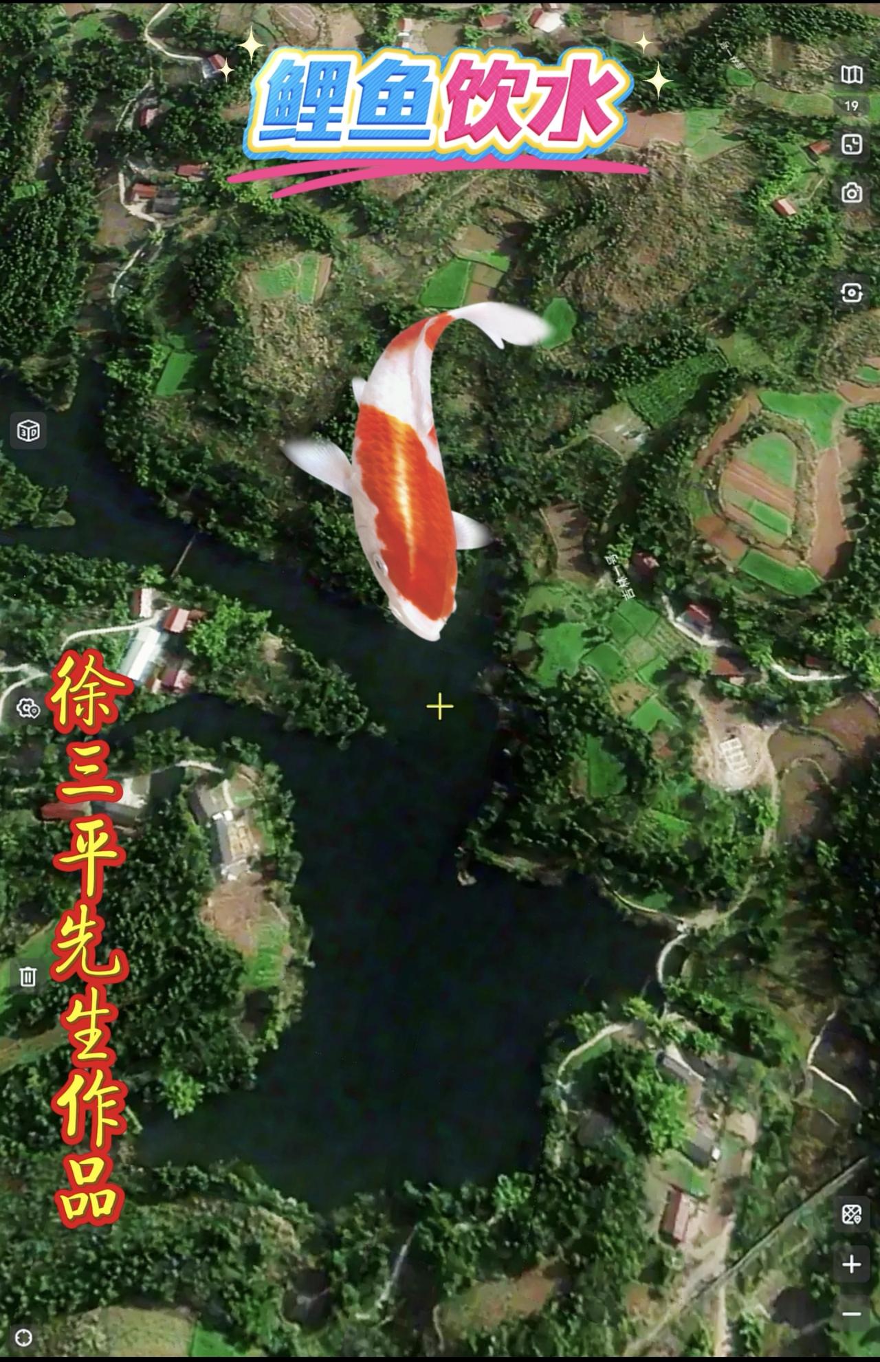 在四川资阳为东家物色的最满意之丁财两旺宝地——鲤鱼饮水，得益于亲友帮助，二天就谈