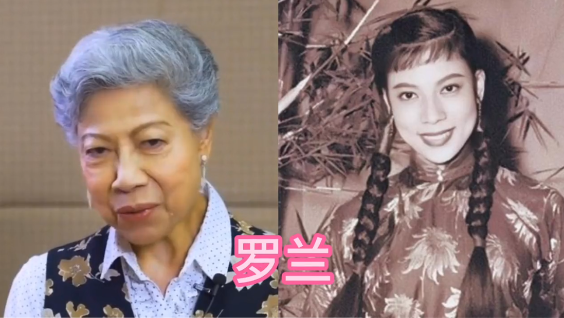 步入老年的陈美琪，无儿无女。步入老年的徐小凤，无儿无女。步入老年的麦景婷，无