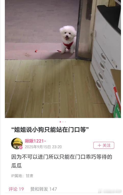 武大杨某9月15日突然发了动态，显示IP在甘肃。然后图二给出了建议。自己看吧[允