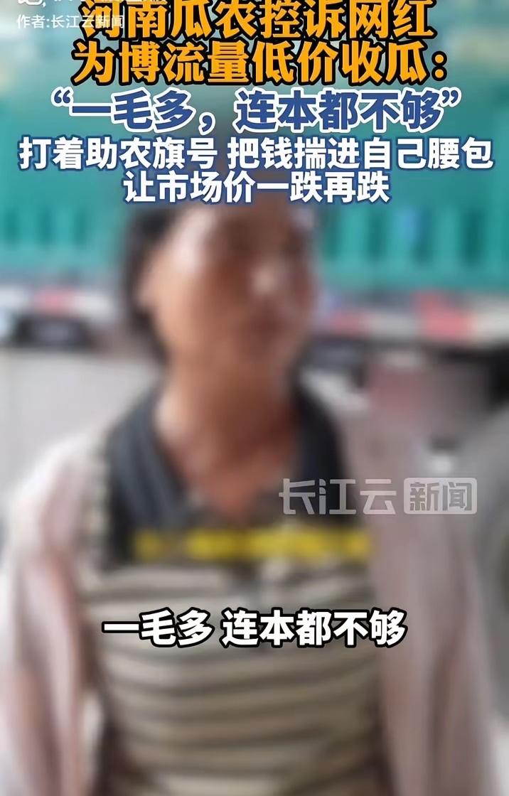 河南瓜农控诉网红，为博流量低价收瓜，别再打着助农旗号，把钱揣进自己口袋！看看人