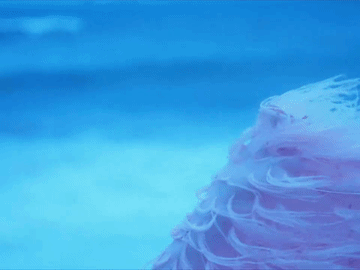 蔡文静粉色流苏裙蔡文静ELLE粉色流苏造型她的这组海边大片真的很成功，粉色流苏