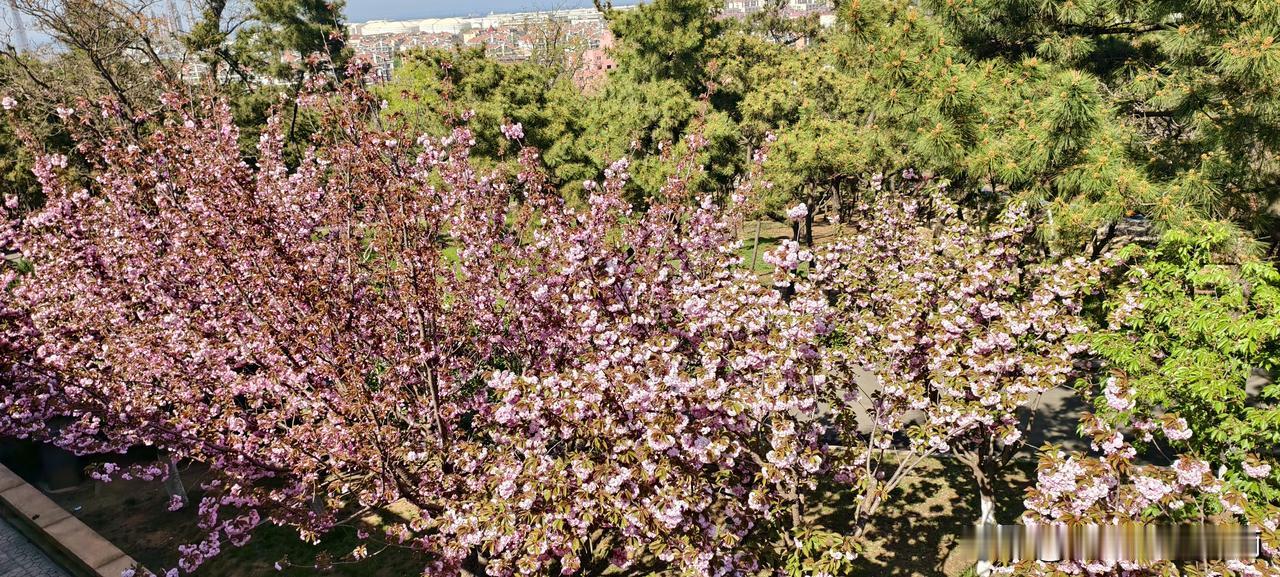 被“正能量”同事坑了三次，我才看透这10条职场识人术先讲个真事儿。我前公