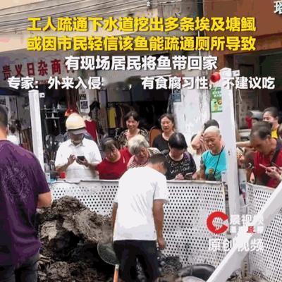 这谁能想得到！广东连州，一条排水管道里，工人们在疏通清淤时，竟然在恶臭的泥潭里抠