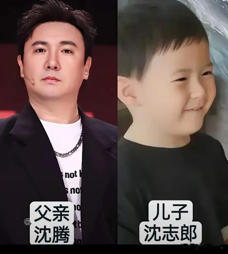 刚刷到一组图，全是平时不怎么露脸的星二代，这一看发现王志文、张晞临他们家儿子都挺