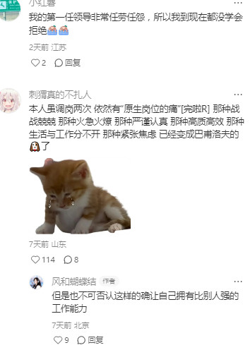谁懂原生单位和青梅牛马对工作习惯的影响真的很大